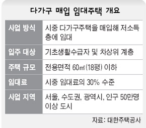 다가구 매입 임대주택 개요 / 자료: 대한주택공사