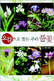 <오감으로 찾는 우리 풀꽃>
