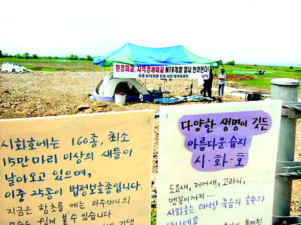 맹꽁이 집단서식지가 발견된 시화 멀티테크노밸리 예정지. 시민·환경단체가 습지보호를 요구하며 천막농성을 벌이고 있다.