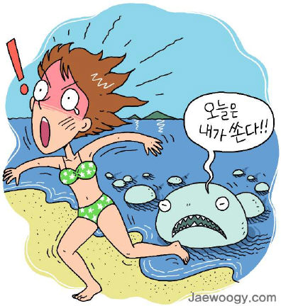 전국 해수욕장에 ‘해파리 주의보’