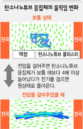 탄소나노튜브 응집제의 움직임 변화