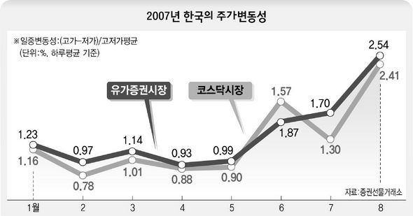 2007년 한국의 주가변동성