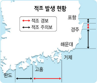 적조 발생 현황
