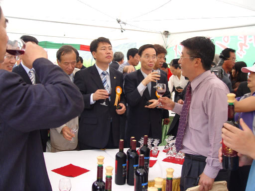 임실 산머루축제
