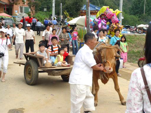 임실 산머루축제
