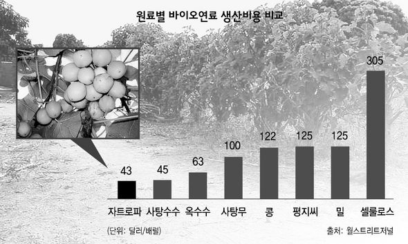 원료별 바이오연료 생산비용 비교