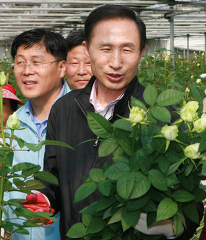 이명박 한나라당 대선후보가 4일 경남 김해 화훼정보화단지를 방문해 꽃을 따고 있다. 김해/연합뉴스