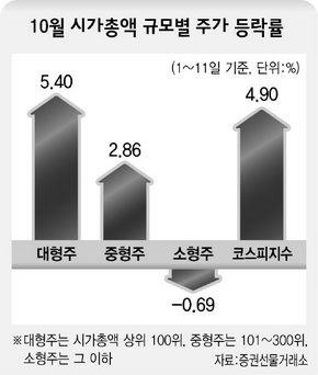 10월 시가총액 규모별 주가 등락률