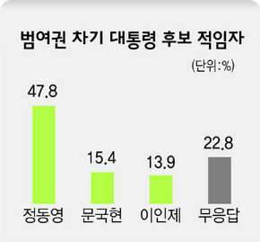 범여권 차기 대통령 후보 적임자