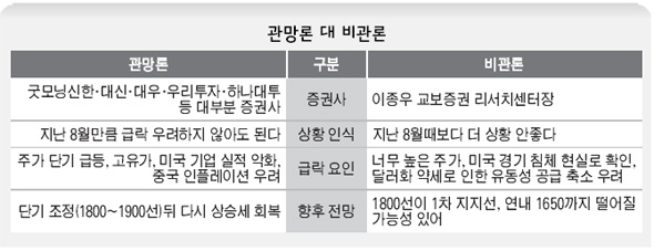 관망론 대 비관론