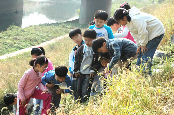 수원 율현초등학교 2학년 5반 아이들이 수업시간에 학교 인근 서호천 주변에서 식물을 관찰하고 있다.