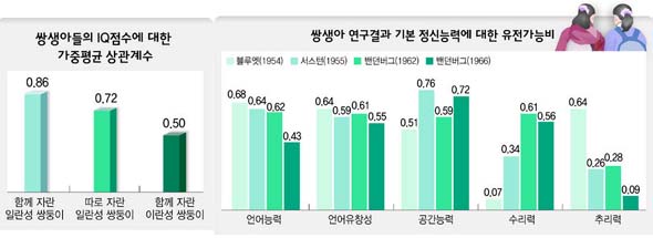 쌍둥이 지능, 똑같지 않은 까닭은