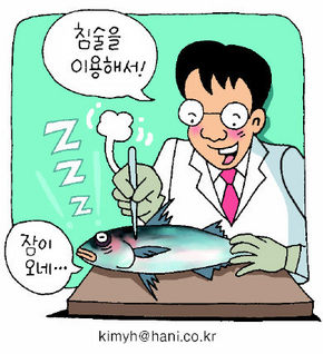 “쉿! 고등어가 침맞고 취침중이오니…”     