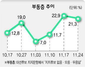 2007 대선 부동층 추이