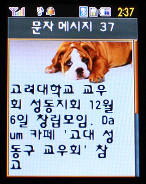 고려대 교우회 지역 모임의 창립을 알리는 문자메시지.