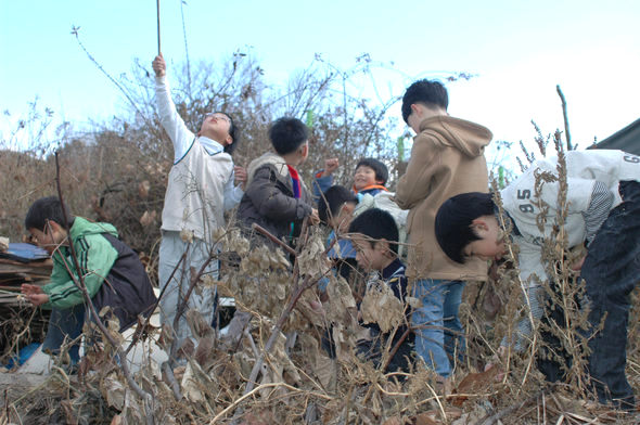 부산 금성초등학교 어린이들이 겨울 집중기 학습 시간에 학교 옆 동산에 올라 나무 열매를 따고 있다.