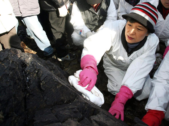 박근혜 전 한나라당 대표가 27일 충남 태안군 구름포해수욕장에서 바위에 묻은 기름을 닦고 있다. 박 전 대표의 미니홈피 누적 방문자수 700만명 돌파를 기념해 마련된 이 행사에는 박 전 대표의 팬클럽인 ‘호박사랑’ 회원 6천여명이 함께 했다. 태안/연합뉴스