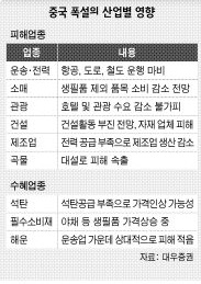 중국 폭설의 산업별 영향