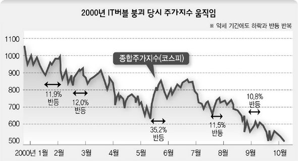 2000년 IT버블 붕괴 당시 주가지수 움직임