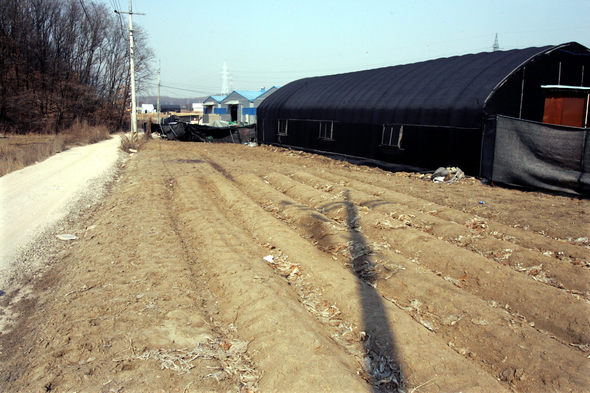 어윤대 전 고려대 총장의 부인이 소유하고 있는 경기 고양시 덕양구 도내동  29번지 땅. 고양/김종수 기자 jongsoo@hani.co.kr