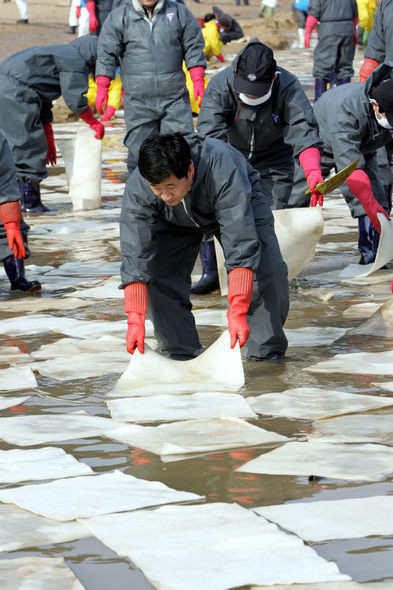 충남 태안 기름유출 사고의 자원봉사자 수가 21일 100만명을 넘어섰다. 100만번째 자원봉사자로 선정된 인천항만공사 외항운항팀 박무동(47)씨가 이날 오전 만리포해수욕장에서 기름제거 작업을 벌이고 있다. 태안/박종식 기자 <A href="mailto:anaki@hani.co.kr">anaki@hani.co.kr</A>