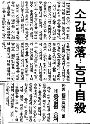 1985년 4월25일〈동아일보〉기사