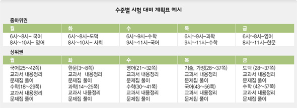 수준별 시험대비 계획표 예시