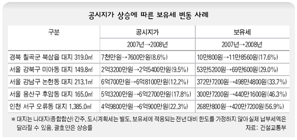 공시지가 상승에 따른 보유세 변동 사례