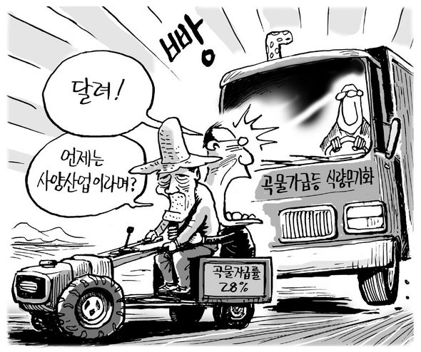 3월 3일 한겨레 그림판