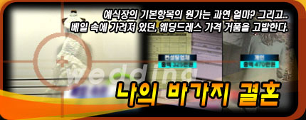 비싼 웨딩드레스가 누구 잘못이지? / 한겨레 블로그 한정호