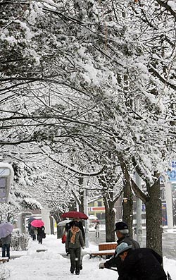 강원지역에 많은 눈이 내린 4일 춘천교대 학생들이 수북히 쌓인 눈을 밟으며 걸어가고 있다. 춘천/연합뉴스