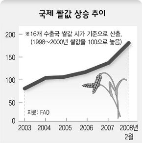 국제 쌀값 상승 추이