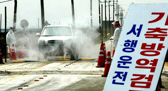 방역당국이 조류 인플루엔자(AI)가 발병한 전북 정읍시 영원면 오리농장 인근에 이동방역대를 설치해 통행차량을 소독하고 있다. 정읍/연합뉴스
