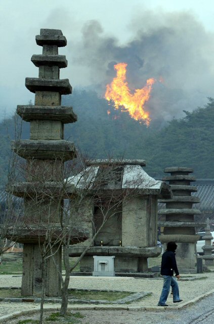 6일 오후 2시께 전남 화순군 도암면 천년고찰 운주사 인근에 산불이 발생, 맹렬한 속도로 타오르고 있다. 연합뉴스