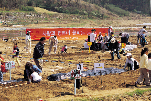 지난 2006년 경기도 용인 신세계 유통연수원 인근 가족농장에서 직원들이 텃밭을 일구고 있다.   신세계 제공