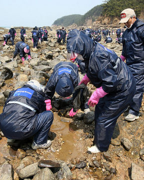 영구 귀국한 사할린 동포들이 24일 충남 태안 의항에서 방제활동을 펼치고 있다. 태안군 제공
 