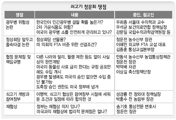 쇠고기 청문회 쟁점