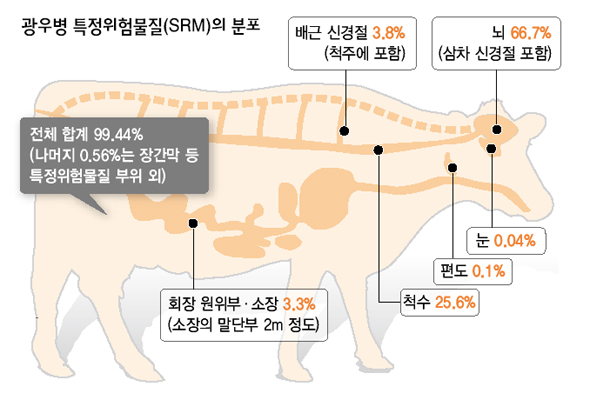 광우병 특정위험물질(SRM)의 분포