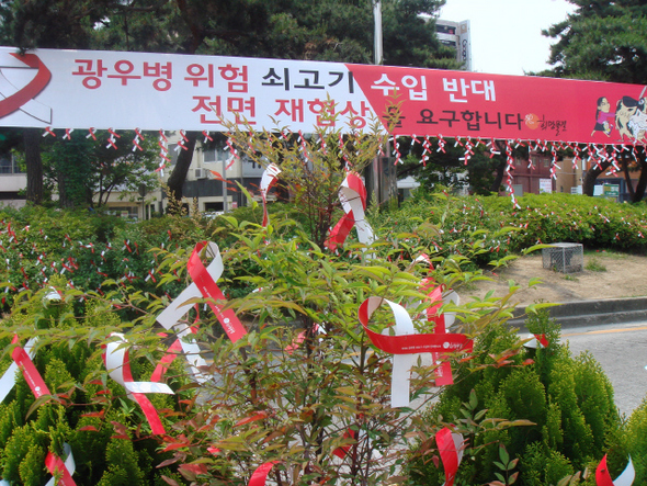 리본 3천개 함성 리본 3천개 함성