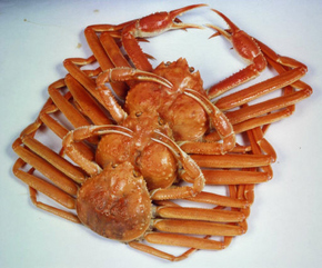 대게(사진)