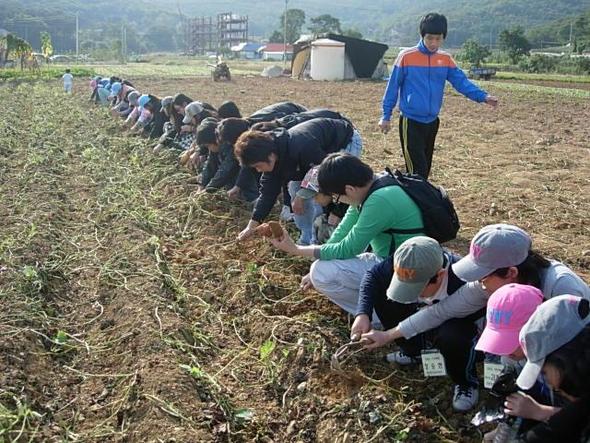 ‘청소년 동반자’는 위기 청소년을 직접 찾아가 필요한 상담과 지원을 아끼지 않는다. 사진은 청소년들과 함께 체험활동을 즐기는 청소년 동반자들의 모습.   
 서울시청소년상담지원센터 제공