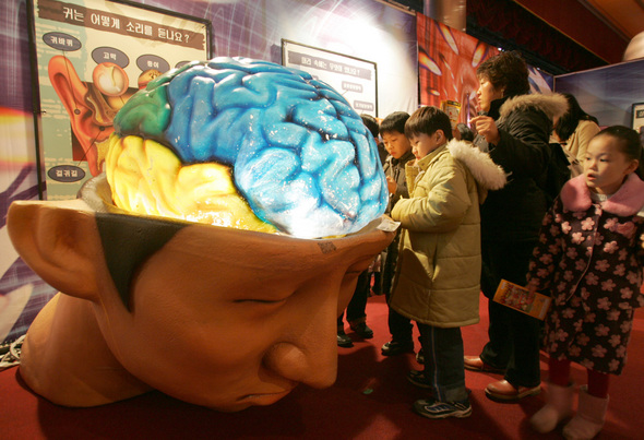 부모가 자녀의 말을 적극적으로 경청해 주면, 아이의 뇌 속에서 기억력을 높여주는 물질인 ‘베타엔도르핀’이 촉진된다. 사진은 코엑스에서 열렸던 ‘몸 속 체험전’.
이종근 기자 <A href="mailto:root2@hani.co.kr">root2@hani.co.kr</A>