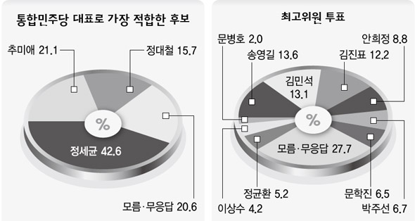 통합민주당 대표로 가장 적합한 후보