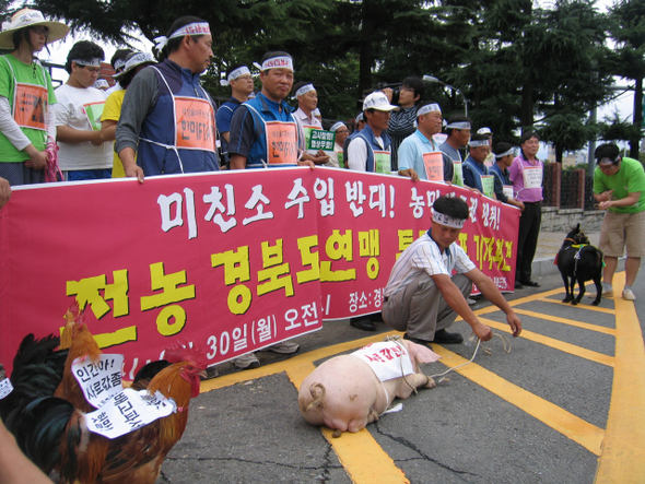 전국농민회총연맹 경북도연맹 회원 등 50여명이 30일 오전 경북도청 앞에서 구호판을 건 닭 염소 돼지 등을 앞세우고 집회를 열고 있다. 사진 박영률 기자 <A href="mailto:ylpak@hani.co.kr">ylpak@hani.co.kr</A> 전국농민회총연맹 경북도연맹 회원 등 50여명이 30일 오전 경북도청 앞에서 구호판을 건 닭 염소 돼지 등을 앞세우고 집회를 열고 있다. 사진 박영률 기자 <A href="mailto:ylpak@hani.co.kr">ylpak@hani.co.kr</A>
