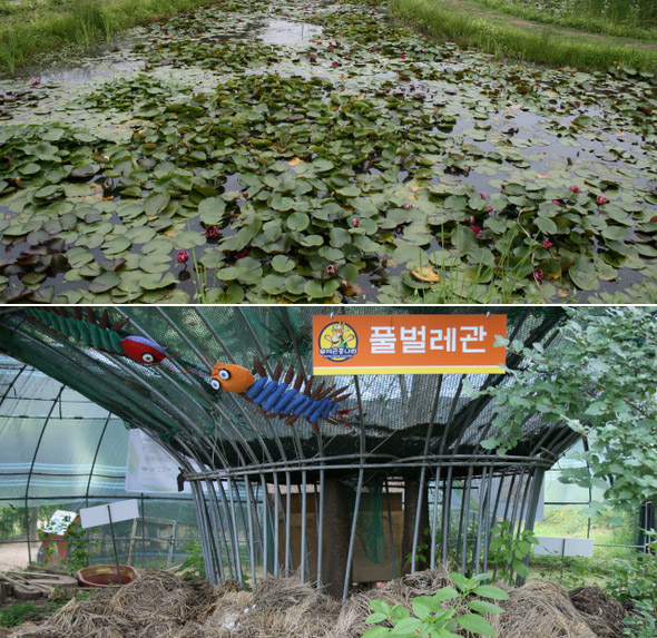 수서곤충 체험을 위해 만든 연못(위)과 임 원장이 비닐하우스에 쓰던 쇠파이프를 재활용해서 만든 구조물로 독특한 아름다움을 자랑하는 풀벌레관.