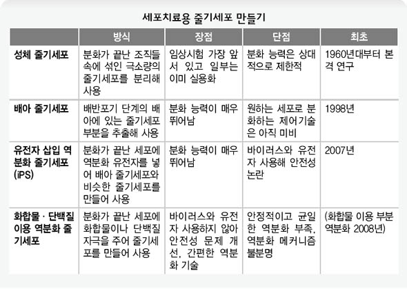 세포치료용 줄기세포 만들기