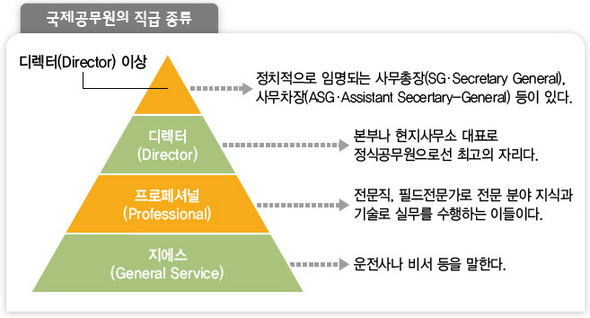 국제공무원의 직급 종류