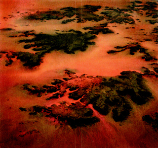 2006.