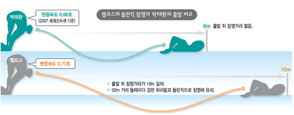 펠프스의 돌핀킥 잠영과 박태환의 출발 비교 (※클릭하시면 더 크게 보실 수 있습니다.)