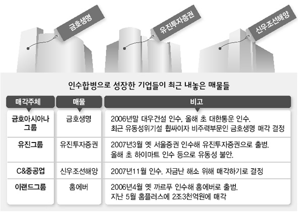 M&A 후유증 ‘알짜매물’ 쏟아진다